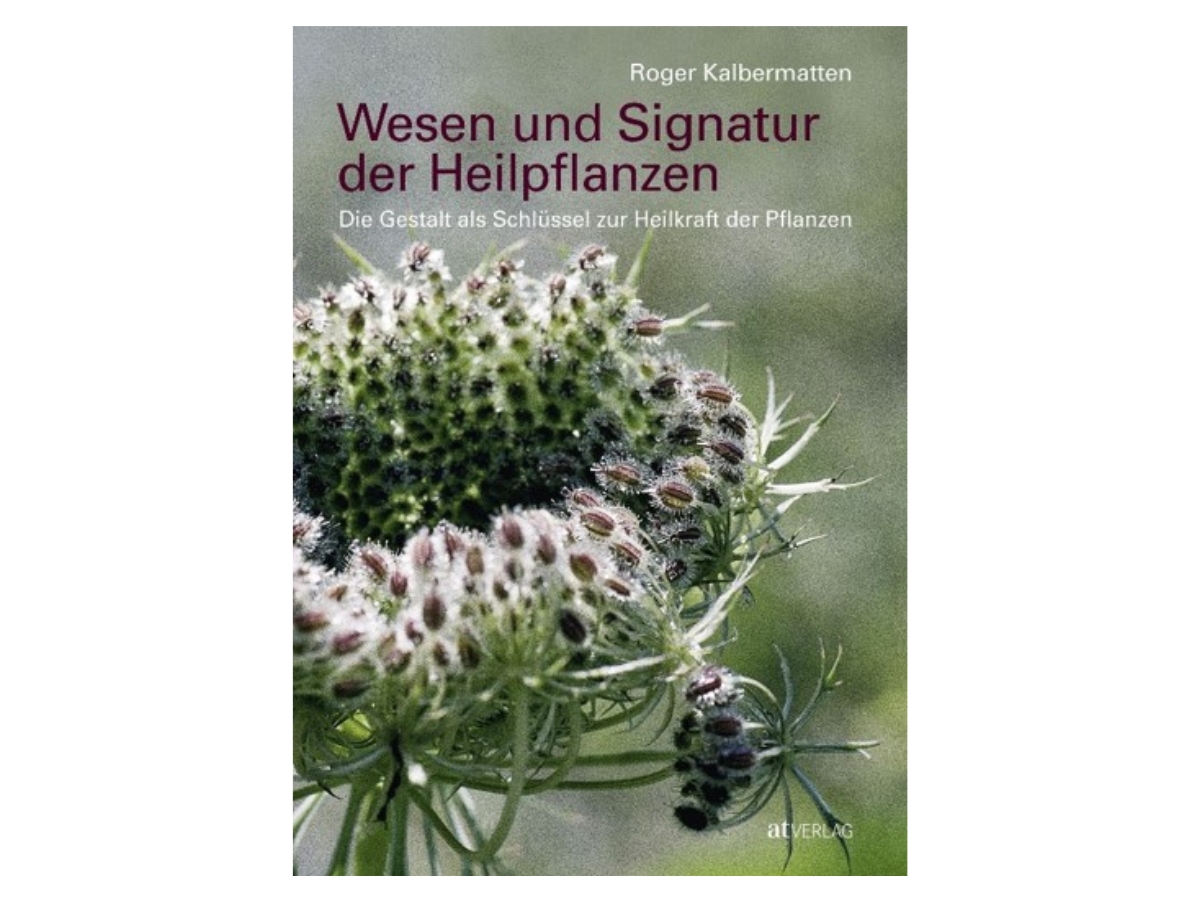 Bild_Buchcover_Wesen_und_Signatur_der_Heilpflanzen_ebi-online
