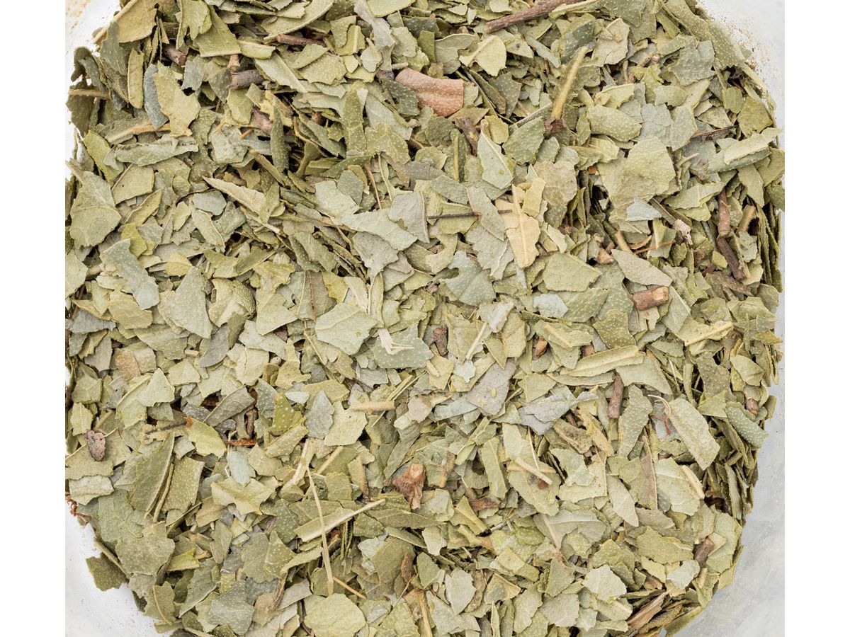 Aromalife Räucherwerk Boldoblätter