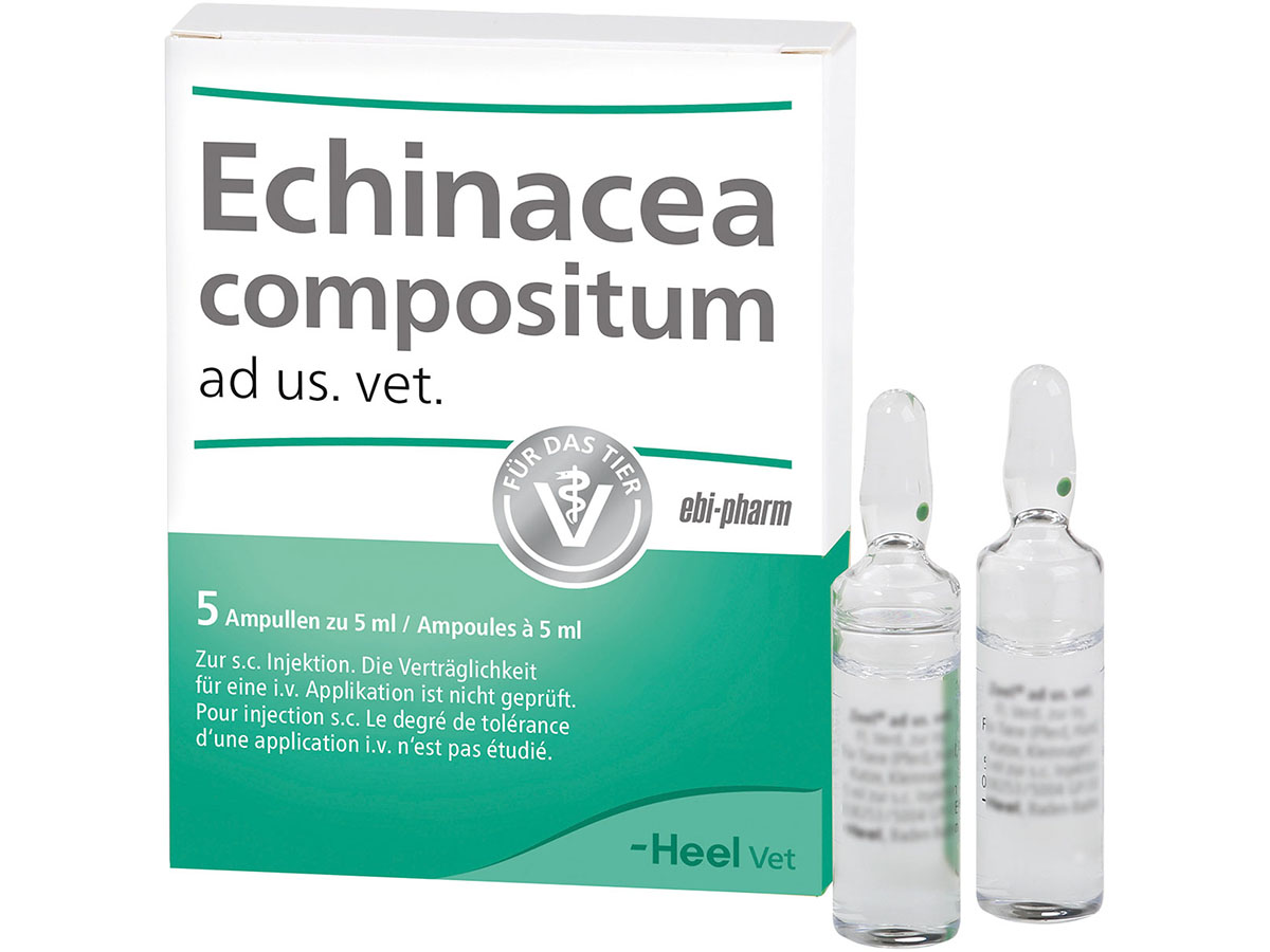Packshot_Echinacea_ad_us_vet_Ampullen_ebi-online-web