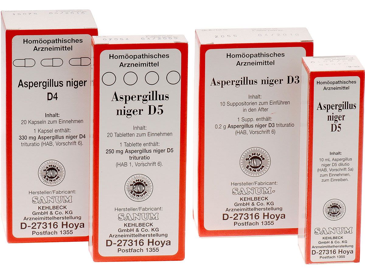 Packshot_Gruppe_Aspergillus_niger_ebi-online-web