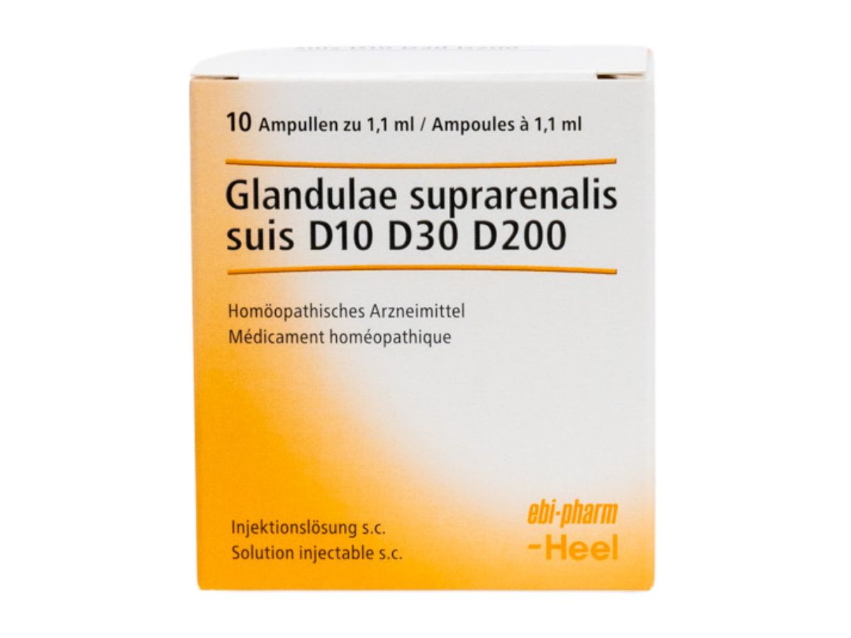 Packshot_Heel_Glandulae_suprarenalis_suis_Ampullen_ebi-online_web