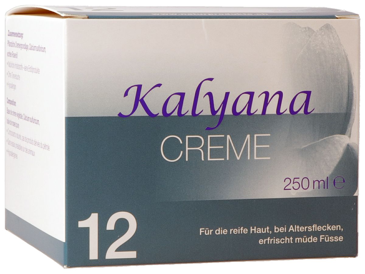 Packshot_Kalyana_Verpackung_12_250ml_ebi-online-web