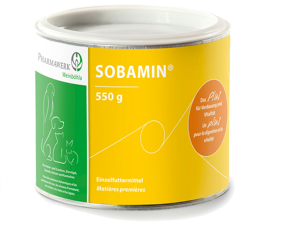Packshot_Sobamin_500g_Pulver_ebi-online-web