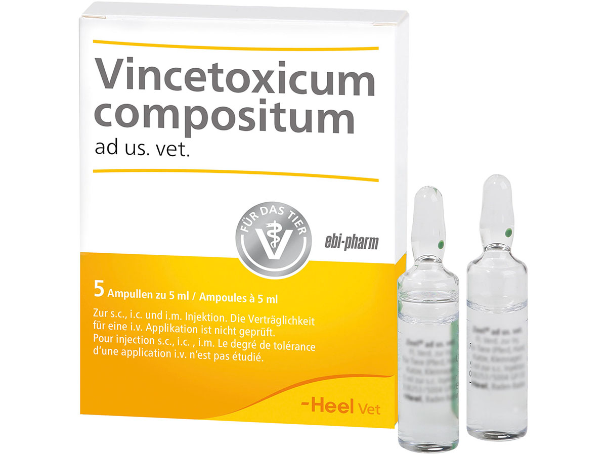Packshot_Vincetoxicum_ad_us_vet_Ampullen_5_ebi-online-web
