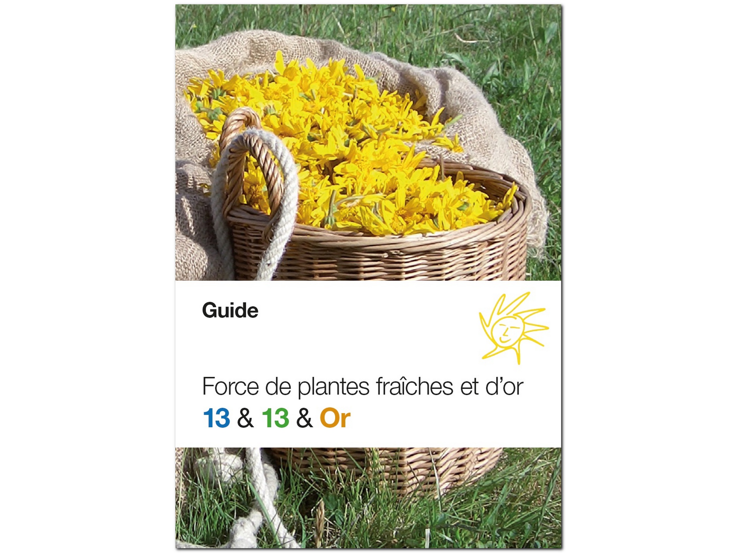 Bild_Alpmed_Ratgeber_Französisch_ebi-online_web